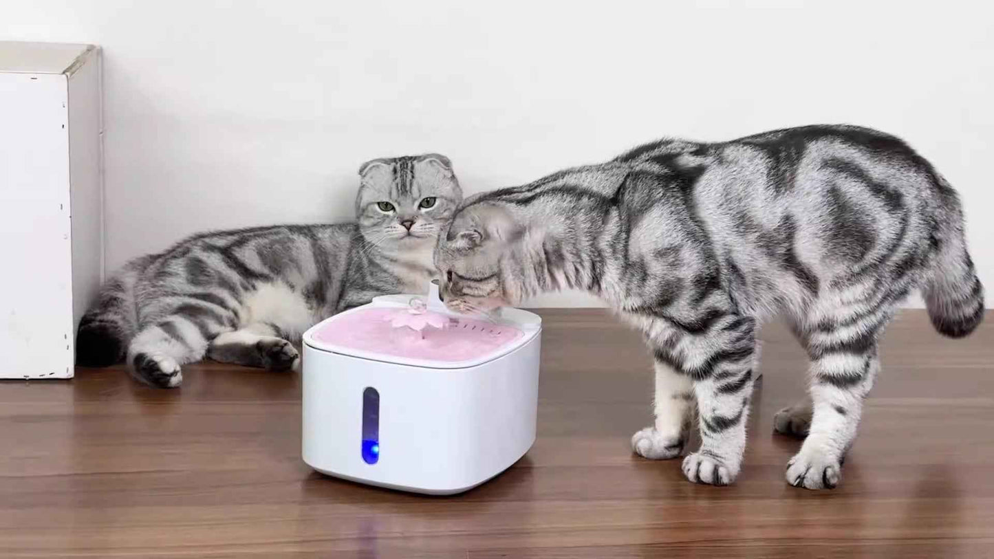 Wireless intelligent induction charging pet water dispenser with large capacity circulating filtration for mobile outdoor cats and dogs to drink water