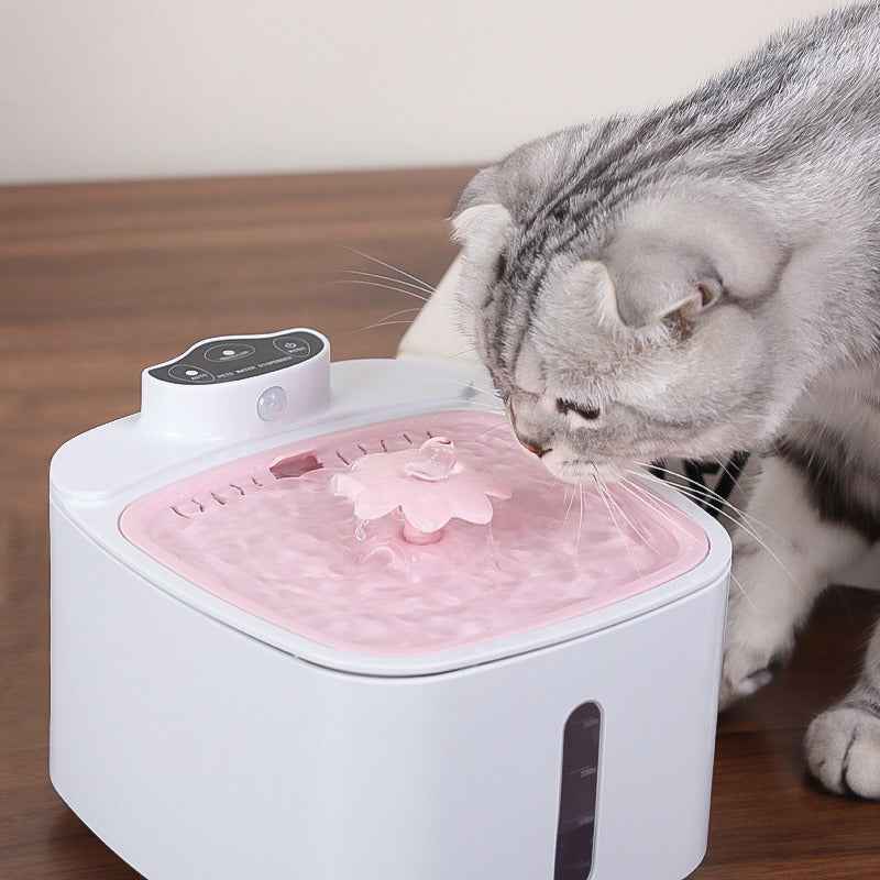 Wireless intelligent induction charging pet water dispenser with large capacity circulating filtration for mobile outdoor cats and dogs to drink water