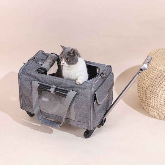 Travel Cat Carrier Summer Dog Pet Bag Foldable Cat Pet Box Breathable Portable Pet Trolley Case